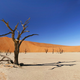 Illustration for article titled Video Game Joke Drought Leads To Major Windfall For Hilarity